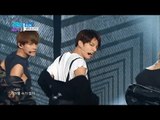 【TVPP】 BTS - 'Run' Show Music core Stage Mix, 방탄소년단 - 'Run' 음중 교차편집