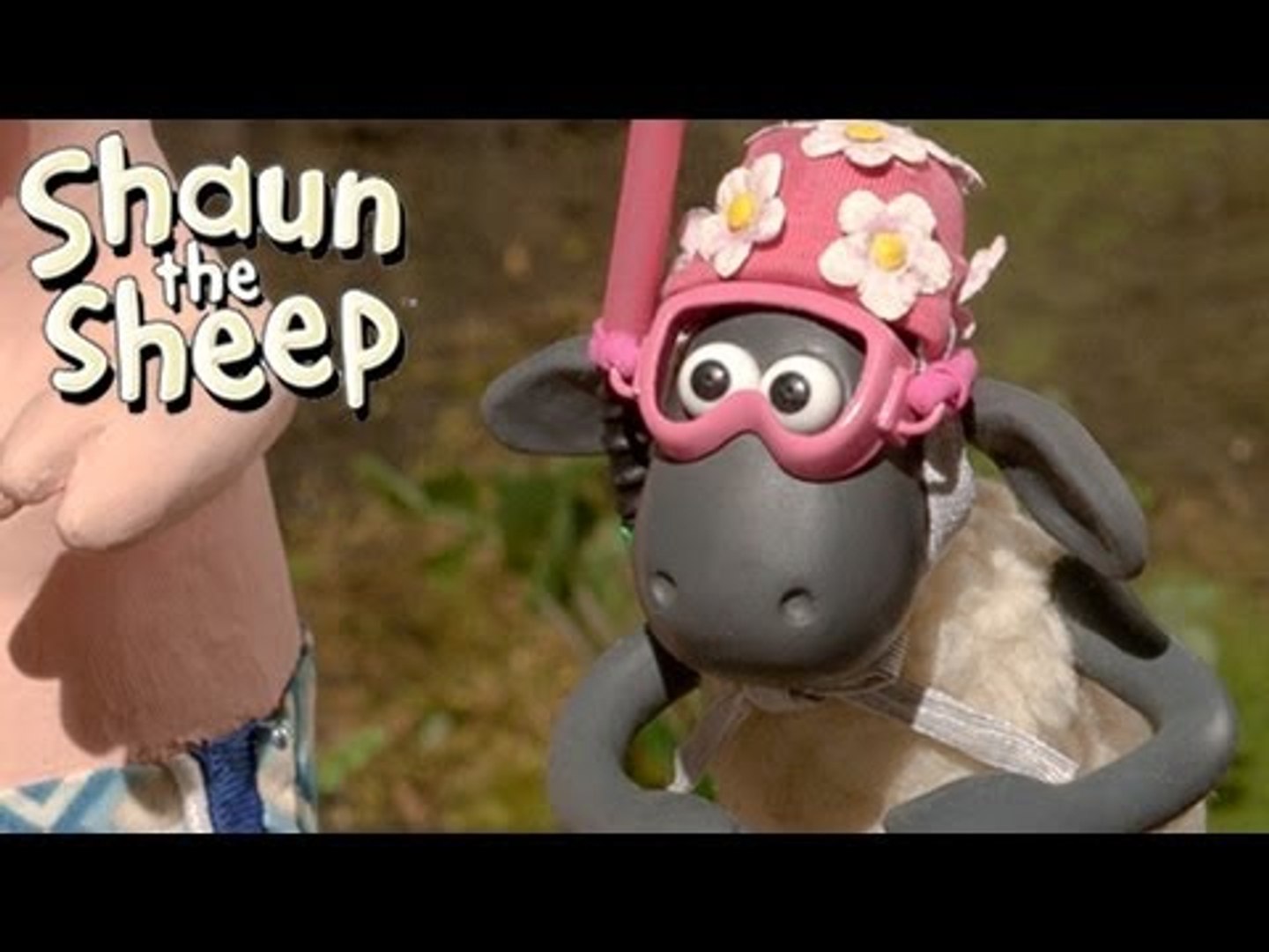 Shaun the Sheep - Championsheeps - Swimming (OFFICIAL VIDEO) - video  Dailymotion