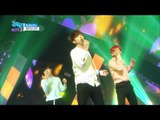 【TVPP】BTS – Butterfly, 방탄소년단 – 버터플라이 @Comeback Stage, Show Music Core