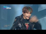 【TVPP】BTS - Run, 방탄소년단 – 런 @Show Music Core