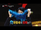 【TVPP】Jo Kwon(2AM) - Commentary on His Singing, 조권 - ‘꾀꼬리 같은 파랑새’의 ‘남과 여’ 심사평 @ King of Mask Singer