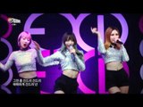 【TVPP】 EXID – Surprise Concert 'Up&Down' ,이엑스아이디 – 게릴라 콘서트 ‘위아래’ @2015 KMF
