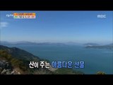 [Live Tonight] 생방송 오늘저녁 241회 - Tongyeong 'Saryang-do' 아름다운 섬! '통영 사량도' 20151102