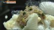 [Live Tonight] 생방송 오늘저녁 203회 - 60 years of experience! dumpling,the secret of taste 20150904