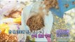 [Morning Show] Pick ginkgo nuts,earning hundreds of millions! '은행나무 털어 수억 번다?' [생방송 오늘 아침] 20151116