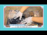 [Happyday] Manage Fur only 2chunwon! 단돈 2천원으로 모피 관리하는 방법 [기분 좋은 날] 20151125