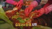 [Live Tonight] 생방송 오늘저녁 263회 - How to smart preparing kimchi for the winter 20151202
