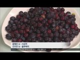 [Smart Living] Blueberry is good for your eyes 요즘따라 눈이 침침하다!? '눈 건강에 좋은 식품' 20160302