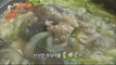 [Greensilver] Nourishing Food  Small Octopus Shabu-shabu 봄맞이 원기충전 '주꾸미 샤부샤부' [고향이 좋다 356회] 20160307