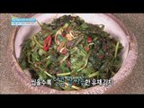 [Happyday] Like salad canola Kimchi 샐러드 같은 봄향기의 유채 김치! [기분 좋은 날] 20160318