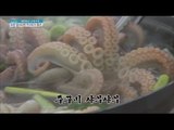 [Live Tonight] 생방송 오늘저녁 335회 - Boryeong Webfoot octopus a good harvest! 20160407
