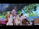 [Human Documentary People Is Good] 사람이 좋다 - 'abandoned dog mother' Lee Yong Nyeo 20150912