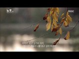 [MBC Documetary Special] - 고시원에서 생활하는 노년  20170109