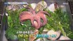 [Live Tonight] 생방송 오늘저녁 612회- If you put shellfish,Hongge and octopus are extra !? 20170607