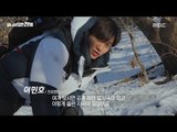 [MBC DMZ, THE WILD] - 첩첩산중에서 만난 DMZ의 멧돼지 20170612