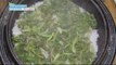 [Happyday] Recipe : giant parsnip rice 고기 맛이 나는 나물!? '어수리밥' [기분 좋은 날] 20160418