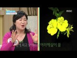 [Happyday] The effect of Omega 3 and 6 건강tip, '오메가 3, 6'의 효능 [기분 좋은 날] 20160420
