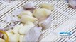 [Morning Show]Kimchi Ingredients Simply prepare! 김장재료 간단하게 준비하세요![생방송 오늘 아침] 20171116