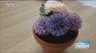 [Morning Show] Recipe : flowerpot cake 매년 똑같은 추석선물은 그만! '화분 케이크 & 도라지 절편' [생방송 오늘 아침] 20160908