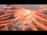 [Power Magazine]How to cook delicious steamed crab! 맛있는 게찜을 먹는 방법!  20170929