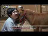 [Haha Land] 하하랜드 - Horse and man 20171011