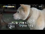[Haha Land] 하하랜드 - The owner appears 20171011