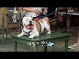 [Haha Land] 하하랜드 - Be embarrassed by the dizzy tongue 20170802