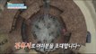 [Happyday] Prison during the Chosun Dynasty : Jeonokseo 조선시대 감옥 '전옥서' 최초공개!! [기분 좋은 날] 20160429
