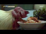 [Haha Land] 하하랜드 - The chicken's favorite food is kimchi 20170809