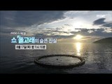 [MBC Documetary Special] - Preview 745 20170817