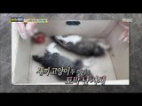 [Haha Land] 하하랜드 - The end of a horrible event 20170823