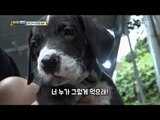 [Haha Land] 하하랜드 - Today is the feast day 20170906