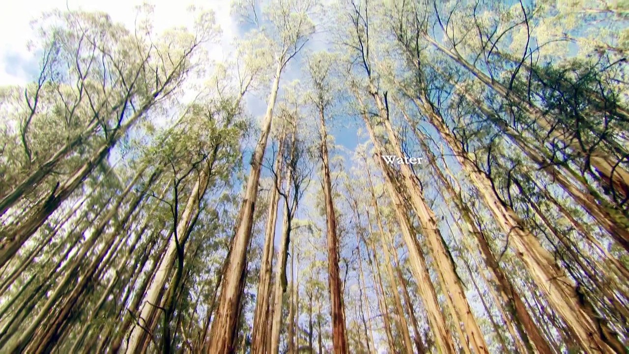 Wonders of Life: Size Matters (4 of 5)