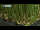 [Economy magazine M] 경제매거진 M - Planting to reduce fine dust 20170429