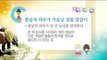Daily Correct Korean Information! '봄과 관련된 속담' 20170407