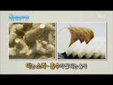 [Happyday] Healthy food : ginger and Chinese yam 겨울철 중풍 예방! '마, 생강' [기분 좋은 날] 20161121