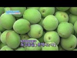 [Happyday] Plum fermented liquor 여름철 가정상비약 '매실 발효액' [기분 좋은 날] 20160530