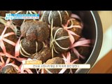 [Happyday]Making hand-made tea 차 마니아의 '수제 차' 만들기! [기분 좋은 날] 20170223