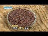 [Happyday] Healthy food : cacao nibs 약이 되는 쓴맛! '카카오닙스' [기분 좋은 날] 20161024