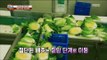 [Power Magazine] Haenam kimchi processing factory 최고 품질의 배추 엄선! '해남 김치 가공 공장' 20161014