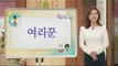 [Learn Korean] Daily Correct Korean Information! Todays korean '여리꾼' 20160218