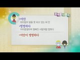 [Learn Korean] Daily Correct Korean Information! Todays korean '어안이 벙벙하다' 20160223