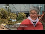 [MBC Documetary Special] -  풍력발전소를 피해 서식지를 옮기는 돌고래들 20160613