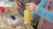 [Happyday] How to make 'Choran' 칼슘 가득한 '초란' 만드는 비법! [기분 좋은 날] 20160128