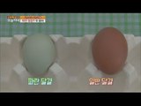 [Live Tonight] 생방송 오늘저녁 285회 - Blue eggs?! first shipment 20160106
