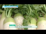 [Happyday]daikon Helps prevent cancer '겨울 무'가 암 예방을 돕는다?![기분 좋은 날] 20171103