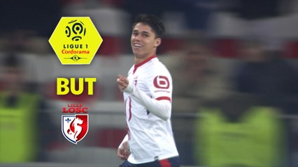 But Luiz ARAUJO (51ème) / OGC Nice - LOSC - (2-1) - (OGCN-LOSC) / 2017-18