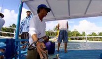 Extreme Fishing with Robson Green S02 E08 Philippines