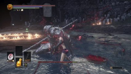 Champion Gundyr Ringed Knight Straight Sword No Damage Taken