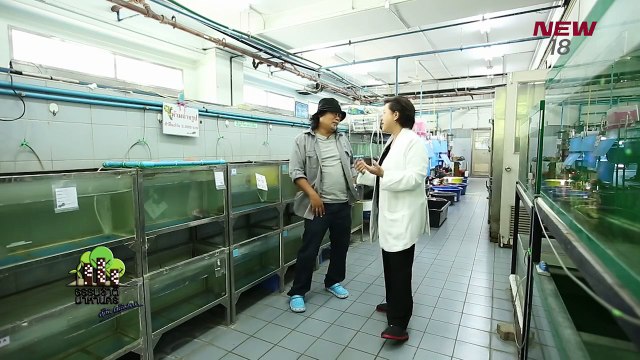 ชีวิตนี้เพื่อสัตว์น้ำ | EP.182/1 | ธรรมชาติมาหานคร | 4 มี.ค. 61 | NEW18 | ช่อง 18